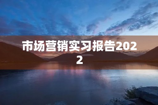 市场营销实习报告2022 市场营销实习报告2022