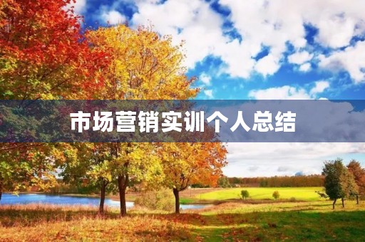 市场营销实训个人总结，市场营销专业实训学习总结