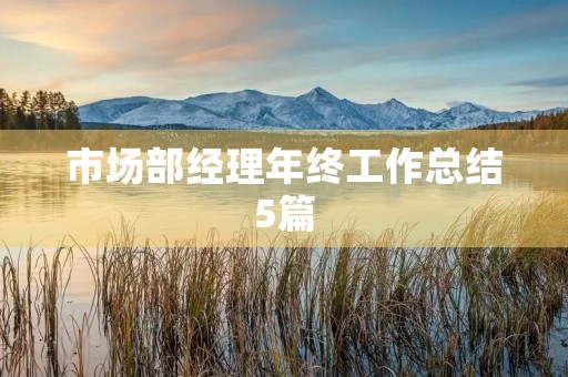 市场部经理年终工作总结5篇