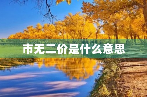 市无二价是什么意思