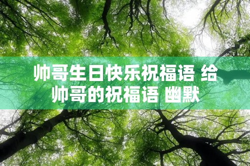 帅哥生日快乐祝福语 给帅哥的祝福语 幽默