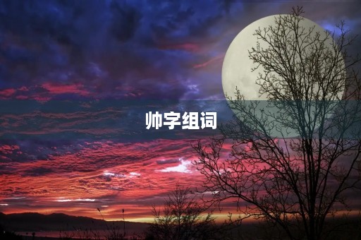 帅字组词(帅组词)