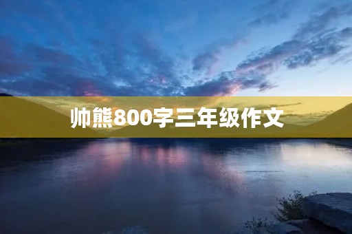 帅熊800字三年级作文