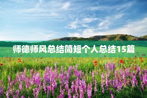 师德师风总结简短个人总结15篇