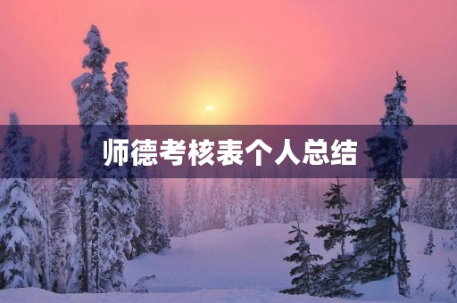 师德考核表个人总结