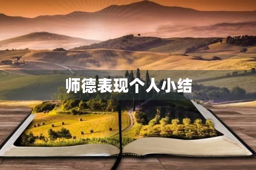 师德表现个人小结