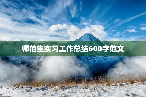 师范生实习工作总结600字范文