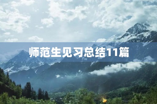 师范生见习总结11篇
