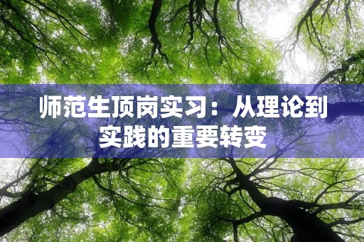 师范生顶岗实习：从理论到实践的重要转变