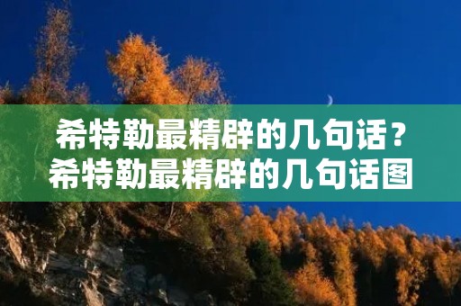 希特勒最精辟的几句话?希特勒最精辟的几句话图片 希特勒最精辟的几句话?希特勒最精辟的几句话图片
