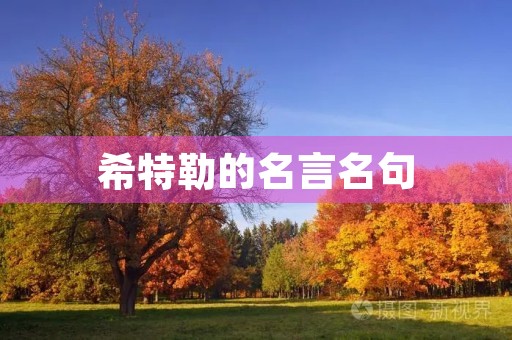 希特勒的名言名句,希特勒的名言名句 勋章 希特勒的名言名句,希特勒的名言名句 勋章