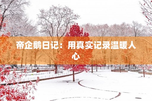帝企鹅日记:用真实记录温暖人心 帝企鹅日记:用真实记录温暖人心