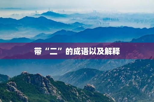 带“二”的成语以及解释 带“二”的成语以及解释