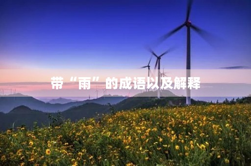 带“雨”的成语以及解释