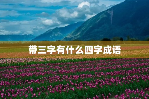 带三字有什么四字成语