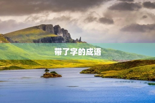 带了字的成语
