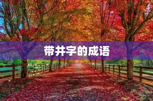 带井字的成语