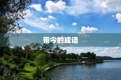 带今的成语