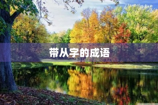 带从字的成语