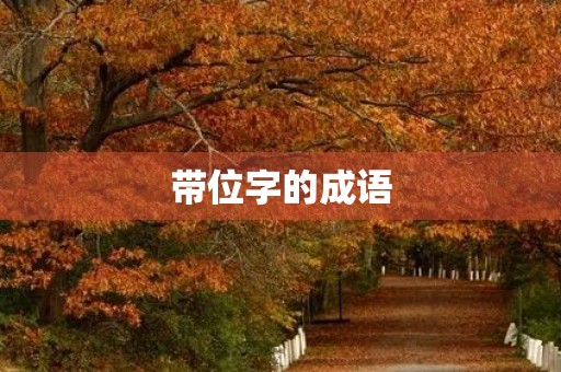 带位字的成语