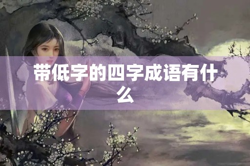 带低字的四字成语有什么