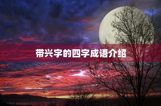 带兴字的四字成语介绍