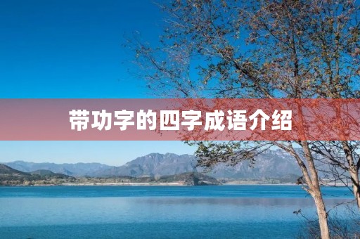 带功字的四字成语介绍