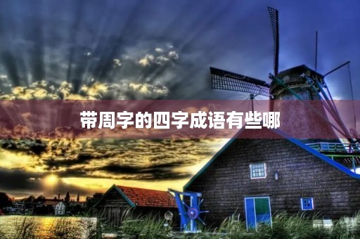 带周字的四字成语有些哪