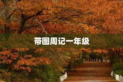 带图周记一年级 带图周记一年级