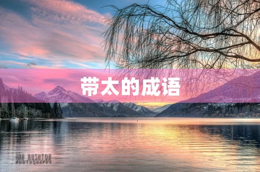 带太的成语