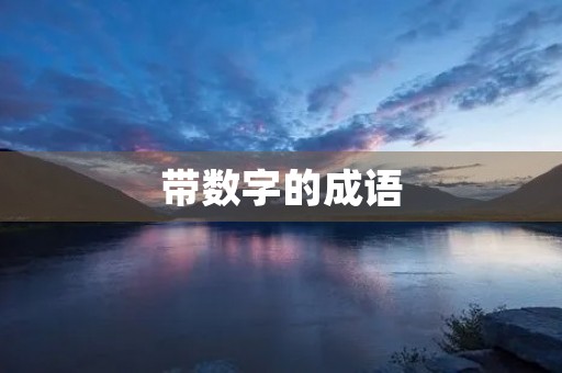 带数字的成语