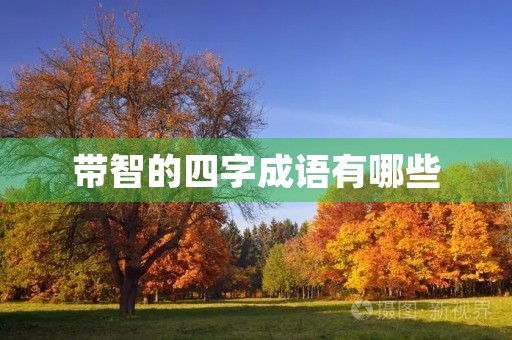 带智的四字成语有哪些