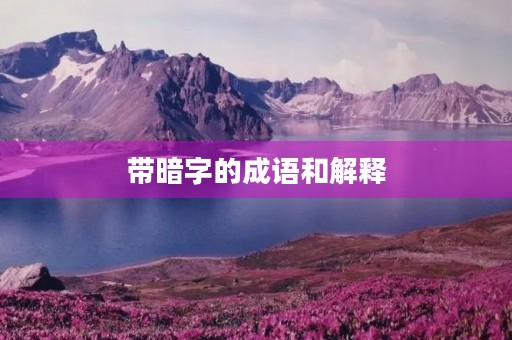 带暗字的成语和解释 带暗字的成语和解释