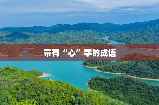 带有“心”字的成语