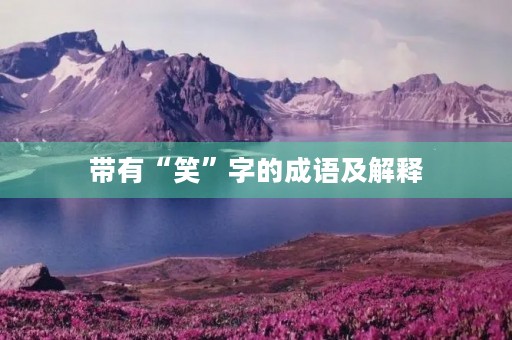 带有“笑”字的成语及解释