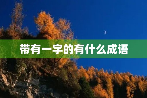带有一字的有什么成语