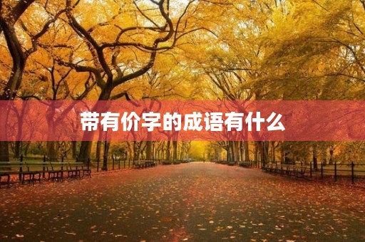 带有价字的成语有什么