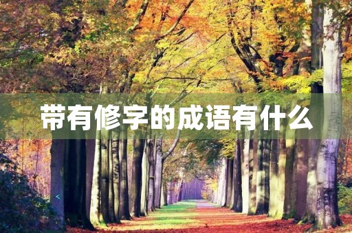 带有修字的成语有什么