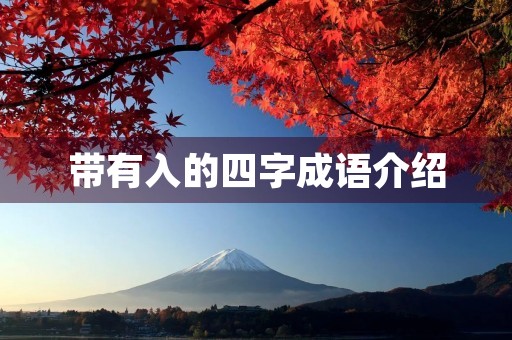 带有入的四字成语介绍