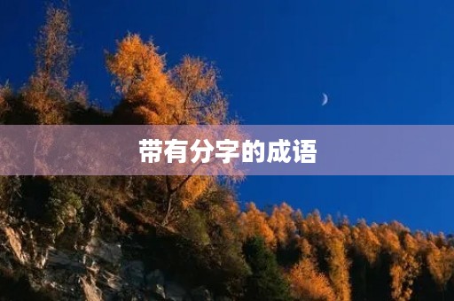 带有分字的成语