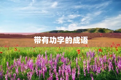 带有功字的成语