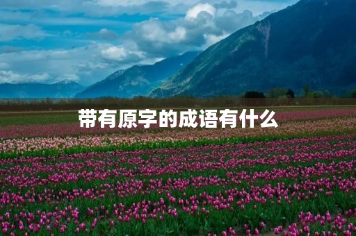 带有原字的成语有什么