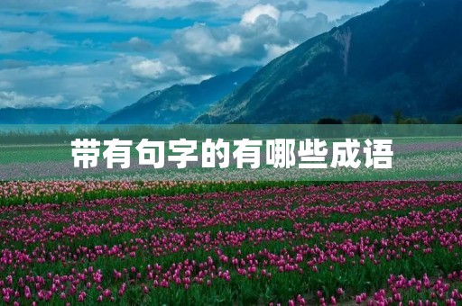 带有句字的有哪些成语