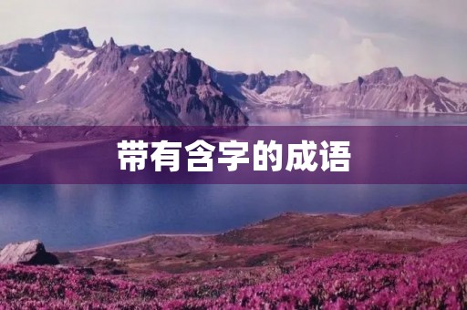 带有含字的成语