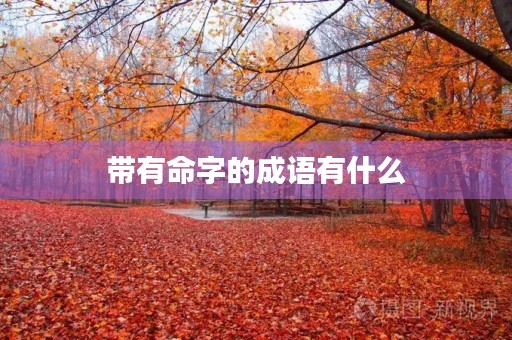 带有命字的成语有什么