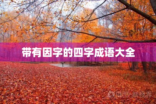 带有因字的四字成语大全