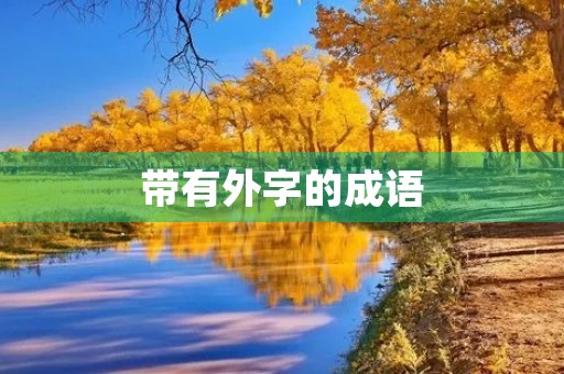 带有外字的成语