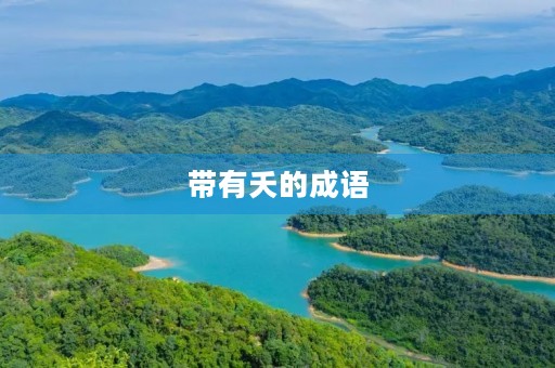带有夭的成语