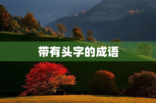 带有头字的成语