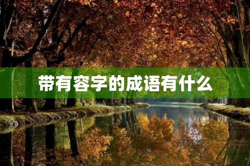 带有容字的成语有什么